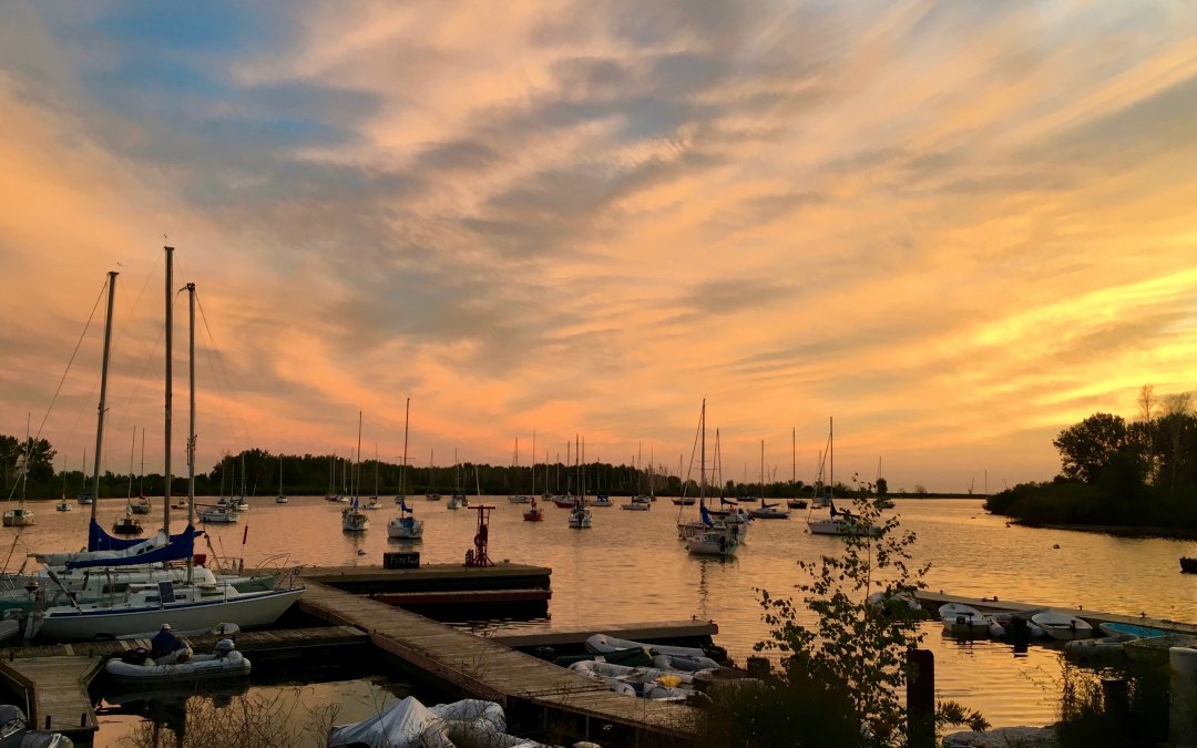 Toronto’s Hidden Sailing Gem: Aquatic Park Sailing Club